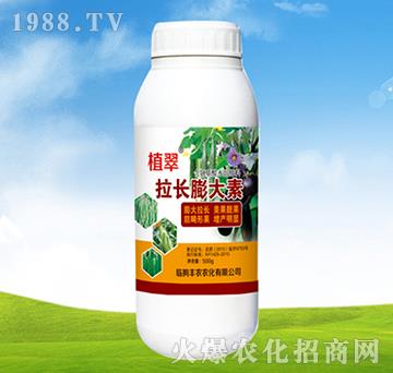 ���L�����-ֲ��-�S�r(n��ng)�r(n��ng)��