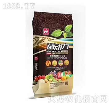 ���Z�l(f��)�������ЙC(j��)����-����(d��ng)��-�����t