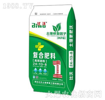 ���������ͺϷ���24-13-8-����