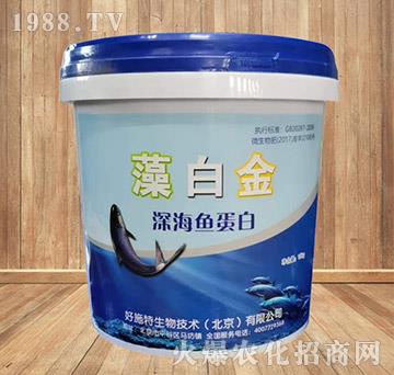 ��~����-��׽�-��ʩ��