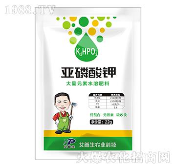 �������-������