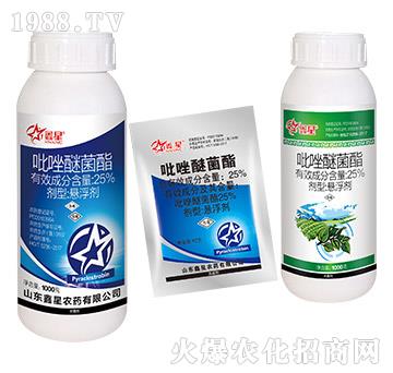 25%�����Ѿ���-����