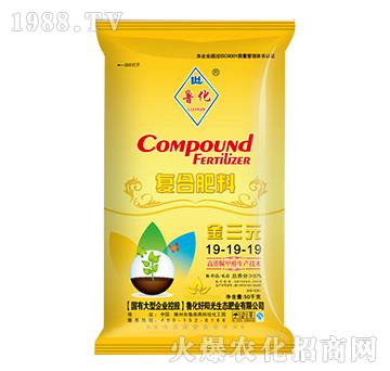 �������ȩ��(f��)�Ϸ���19-19-19-����