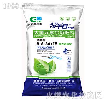 ����ʹ���Ԫ��ˮ�ܷ���8-6-36+TE-����̩