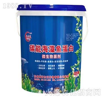 ̼�ܺ����~(y��)����-�֠�٥-�֠���