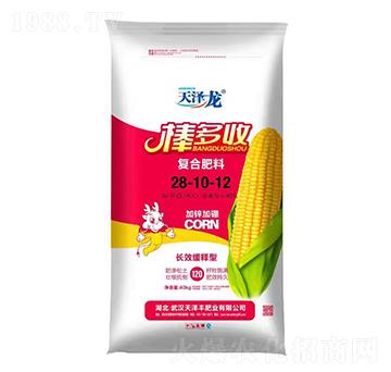 �LЧ����͏ͺϷ���28-10-12-������-�����