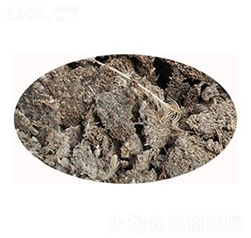 �u�S�ЙC�ʃr��-���S����