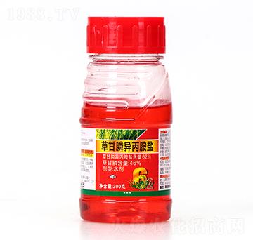 62%�ݸ�좮������}-���_-ϲ�S��