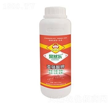 �������-���Ԫ