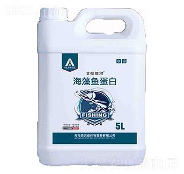 �����~����-�����S��-��ؐ��