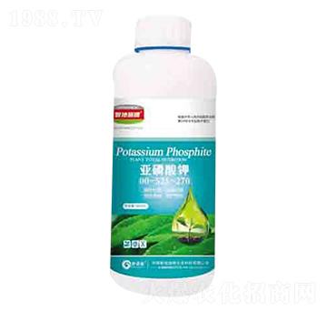 ������� ����