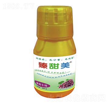 ���ь��� ������ ʢ����