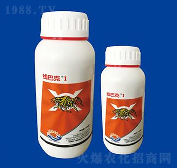 20%����� ��(xi��n)�Ϳ�I ��Ƚ���W(xu��)