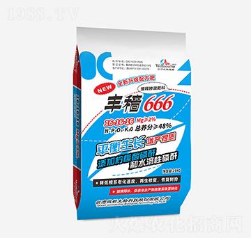 ��ጓ������16-16-16 �S�w666 �����r(n��ng)�I(y��)