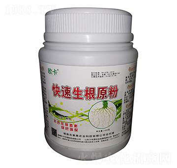 ��������ԭ�� �W��