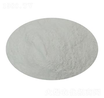 �ۄ���ȩ��ጵ��� ¡��Դ����