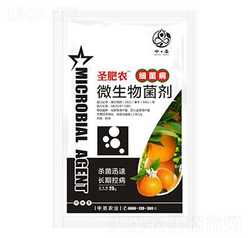 ����������΢�������-ʥ���r-��ʥ�r�I(y��)