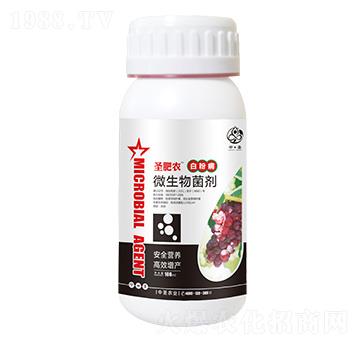 ƿ�b�׷۲�����΢�������-ʥ���r(n��ng)-��ʥ�r(n��ng)�I(y��)