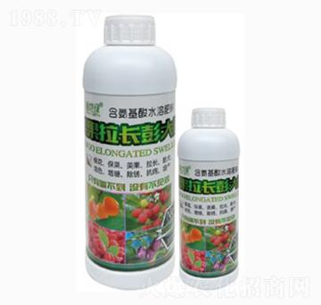 �������L�����-��ؾG