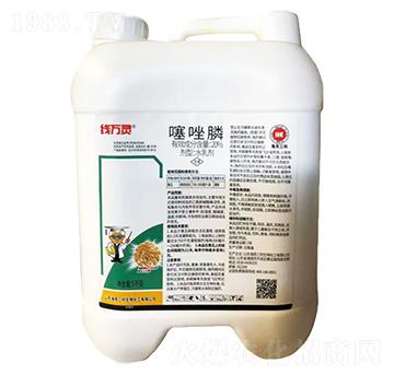 20%�����-��(xi��n)�f(w��n)�`-��������