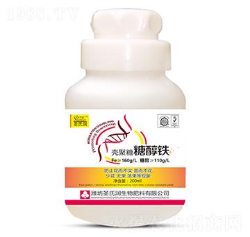 �������Ǵ��F-ʥ�ϝ�