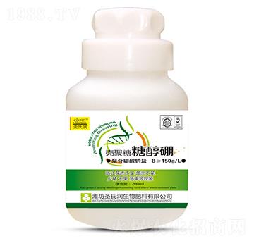 �������Ǵ���-ʥ�ϝ�(r��n)