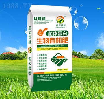 ���w���������ЙC��-��������