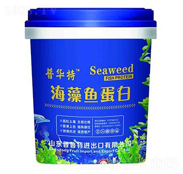 �����~(y��)����-������