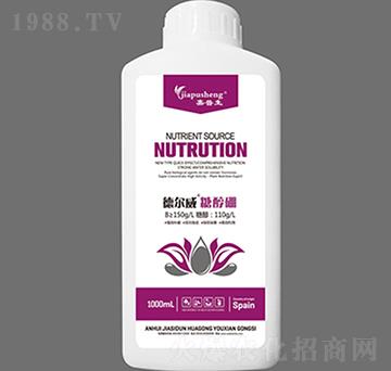 � ����Ǵ���-������-��˼�D