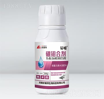 ���f�τ�-�ײ�-������