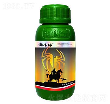 20%������-�MС��-������