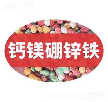 �}�V���\�F�w��-��M�}