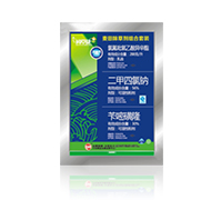 3%�p�������ͪ-�٠�