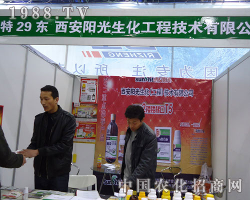 ���ꖹ������ںӱ�ʡֲ��������������