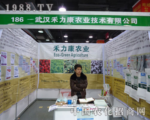 ��h�������r�I(y��)�ںӱ�ʡֲ��������������