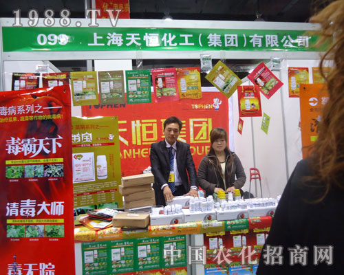 �Ϻ���㻯����������