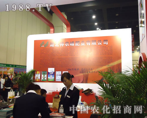 �ӱ����r(n��ng)��ʘI(y��)�����ݷ����p����¡��������