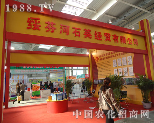 ʯӢ���Q����ʮ��⛷��Q��Ʒ��