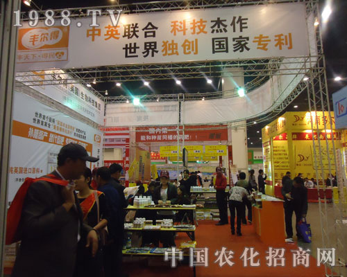 ��Ӣ�� �Ƽ�����