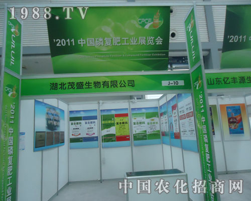 ����ïʢ������2011�Ї��׏�(f��)�ʕ��ϴ�@ȫ��