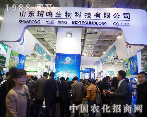 �h�Q�Ƽ��A������չ�_����