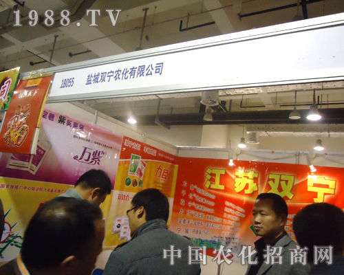 ���K�p�������̶������������v�w����