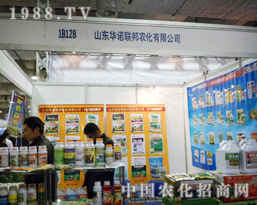 ɽ�|�A�Z(li��n)��]����ֱ�v��2012��(j��)��ֲ�����ו�(hu��)���Լ��T�ڵ�չ��(hu��)��ɽ�|�A�Z(li��n)��Ĳ�չ���ڴ����ļ�������(j��ng)�^����չ��(hu��)���������|�A�Z(li��n)���(hu��)�ٶ��v�w��