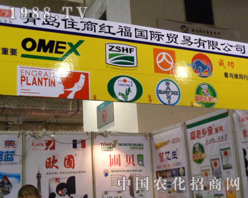 ס�̼t����(gu��)�H--�ɹ������c�l(shu��)ͬ��