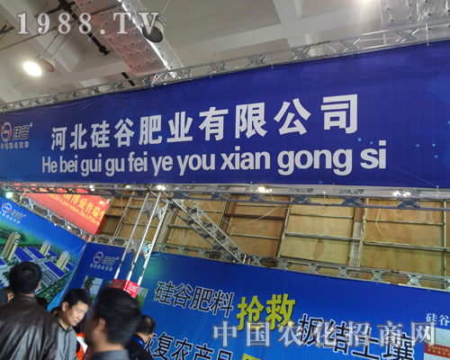 ��ȷʘI(y��)����������ʮ�ˌÝ�(j��)��ֲ����չ�^