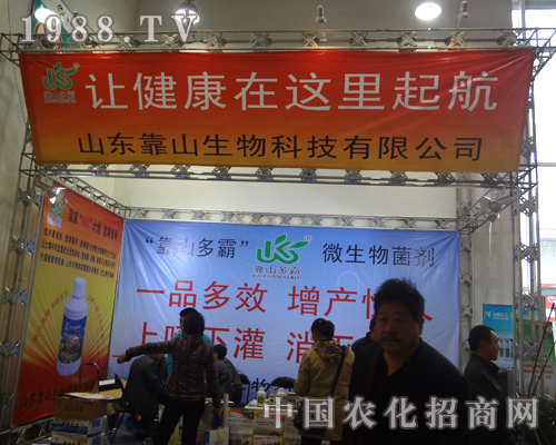 2012ɽ�|ֲ���p����(hu��)