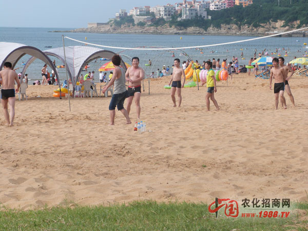 ��һ��ɳ������