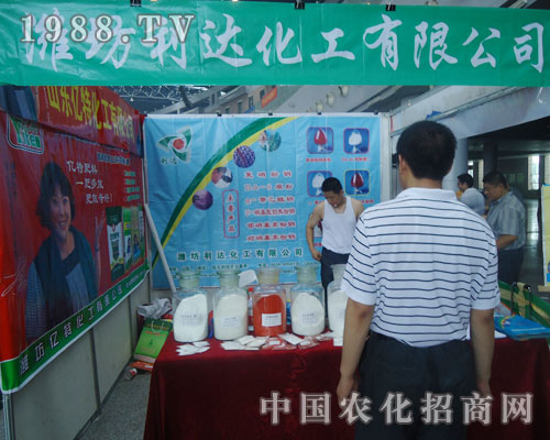 ���_(d��)����¡������ھŌ����ݷ��ϕ�