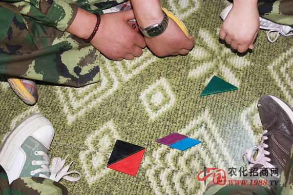 七巧板-考驗領(lǐng)導(dǎo)力