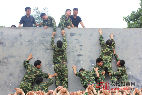 畢業(yè)墻-用于奉獻才能使團隊走的更遠